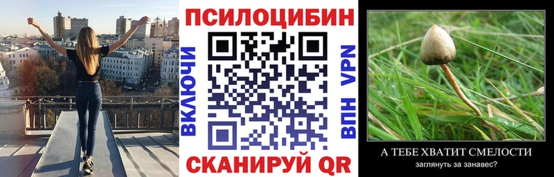 Псилоцибиновые грибы прущие грибы  Ликино-Дулёво 